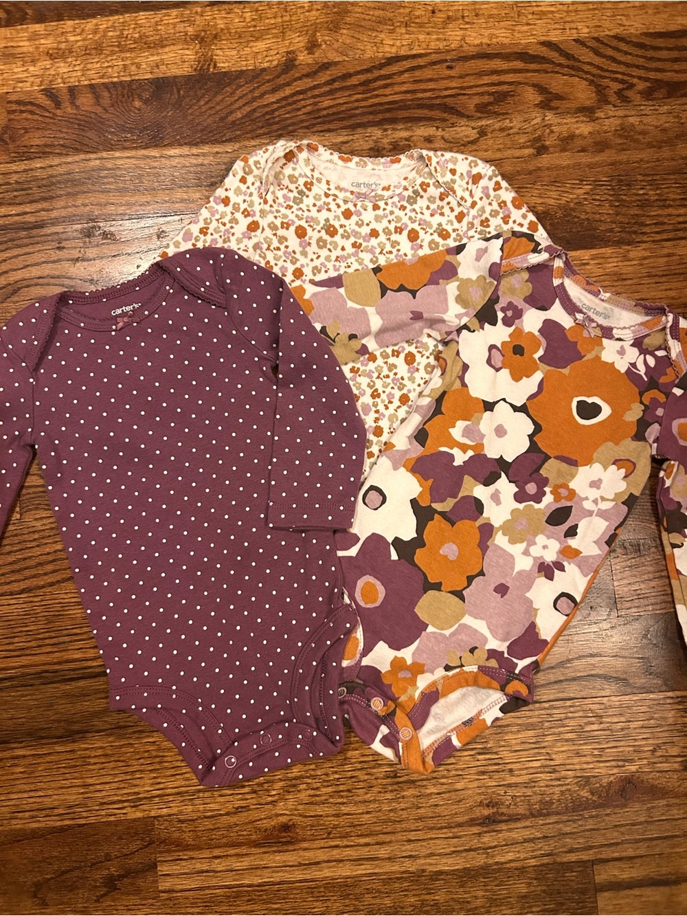 Carter’s Long Sleeve Onesie Bundle 9M